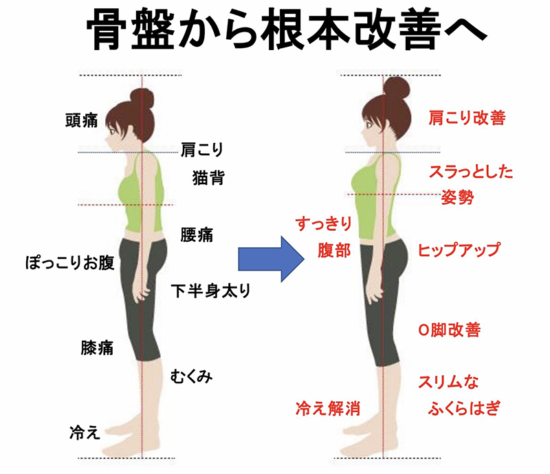 全身を診断し症状の原因を特定 確実に見極め根本改善